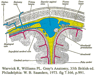 figure 2. click image to enlarge