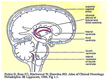 figure 1, click image to enlarge