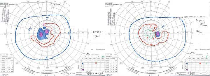 Figure 4, see caption for details