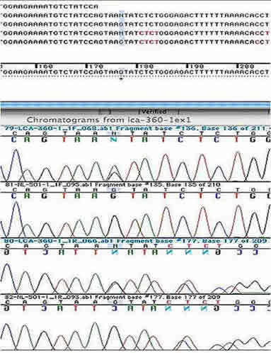 Figure 5. ABI bidirectional sequencing chromatogram