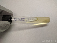 Thioglycolate broth