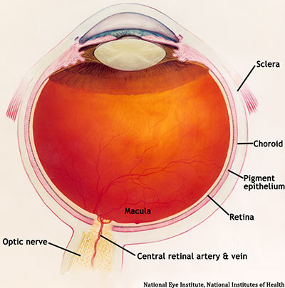 Normal Eye Diagram