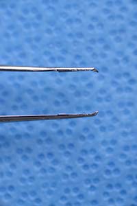 Paufique Suturing Wide Handle 3.375" with tying platform