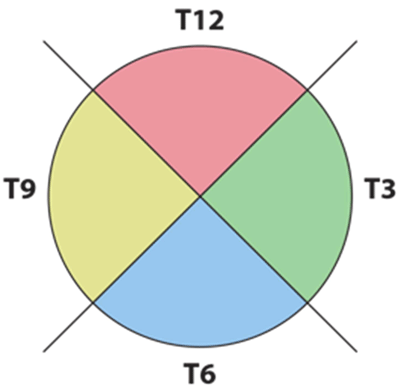 Schematic of ultrasound quadrants 